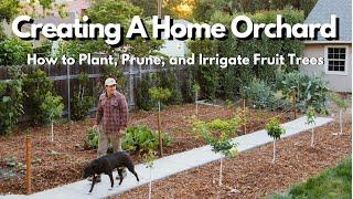 How to Plant Prune and Irrigate Fruit Trees  EVERYTHING YOU NEED TO KNOW