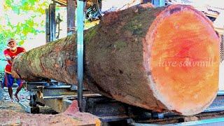 Extraordinary Sawing 3.7 meter long durian wood into nice thick planks