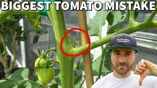 Youre Pruning Tomatoes WRONG This Mistake Will DESTROY Your Harvest