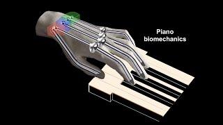 4. The Chopin Method the fingers