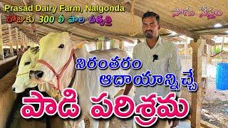 Dairy Farming  పాడిపరిశ్రమ  ఎలాంటి ఆవులు గేదెలు ఎంపిక చేసుకుంటే మంచి ఆదాయం వస్తుంది  Sagu Nestham