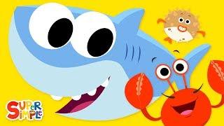 Open Shut Them 3  featuring Finny The Shark  Super Simple Songs