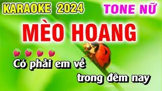 Karaoke Nhạc Sống Trữ Tình - Mèo Hoang Tone Nữ Chữ To Dễ Hát 2024Tấn Tài