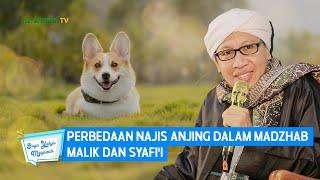 Perbedaan Najis Anjing dalam Madzhab Malik dan Syafii  Buya Yahya Menjawab