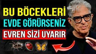 EVİNİZDE GÖRÜNEN BÖCEKLERİN BİR ANLAMI OLDUĞUNU BİLİYOR MUYDUNUZ  ÇEKİM YASASI