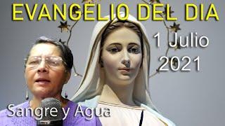 Evangelio Del Dia de Hoy - Jueves 1 Julio 2021- Sangre y Agua