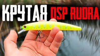 PIKE FISHING on THE BEST WOBBLER for autumn - OSP RUDRA 