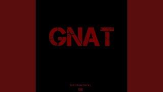 Gnat Instrumental