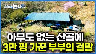 위치는 지리산 산청. 사람 없는 산골에 3만 평 대정원 가꾼 자연인 부부의 일상┃오지 봄나물 밥상 먹방┃한국기행┃#골라듄다큐