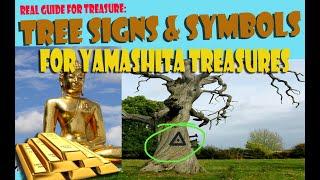 TREE MARKINGS MEANING FOR YAMASHITA TREASURES