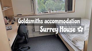 Surrey house room tour  Goldsmiths accommodation 