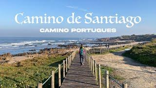 Camino de Santiago - Camino Portugues 2022  Porto to Santiago  11 Days  280KM 175 miles