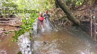 Dapat Banyak.. Berburu ikan di Sungai Kecil pedalaman kalimantan..