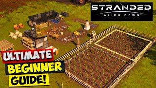 Stranded Alien Dawn - ULTIMATE BEGINNER GUIDE