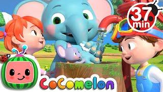 Wash Your Hands Song + More Nursery Rhymes & Kids Songs - CoComelon