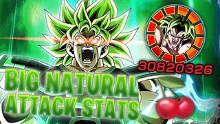 THE GREATEST ANNIVERSARY OF ALL TIME LR AGL DBS Broly Showcase ft. DBS Bosses DBZ Dokkan Battle