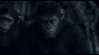 War movie of monkeys and humans Maymunlar ve insanların savaş filmi