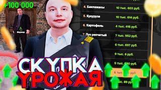 ЗАРАБОТАЛ за 2 ДНЯ - 25КК КАК? AMAZING ONLINE