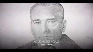 Sen Bizim Ölümsüz Ağacımızsın #10Kasım