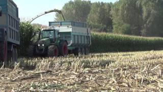 Corn Silage 2013 - The Best of RB74ify