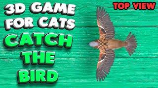 3D game for cats  CATCH THE BIRD top view  4K 60 fps stereo sound