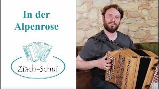 In der Alpenrose - Ziach-Schui - Steirische Harmonika - Hans Wiesholzer