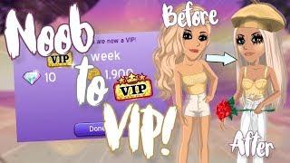 Noob to VIP Makeover