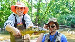 Brown Trout Fishing  Small Creek Fishing