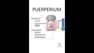 Obstetrics Changes during Puerperium Anatomical Physiological