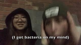 transgenic bacteria on my mind