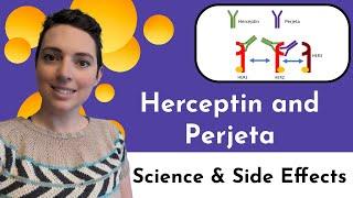 The Science and Side Effects of Herceptin and Perjeta my HER2+breast  cancer journey