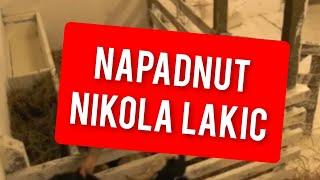 NAPADNUT NIKOLA LAKIC HAOS NA FARMI