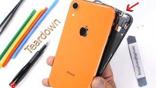 iPhone XR Teardown - How to open the colored iPhone?