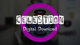 nobody.one - Elastic Celestion IR Mix