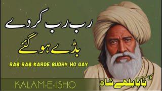 Kalam Baba Bulleh Shah  Rab Rab Kardy Budhy Ho Gay  ਬੁੱਲ੍ਹੇ ਸ਼ਾਹ  Sufi Kalam 2024