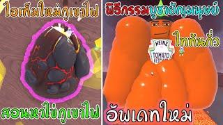 Roblox  Wacky Wizards สอนหาไข่ภูเขาไฟไอเท็มใหม่และการบูชายันไททัน