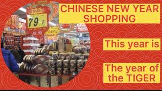 Learn about Chinese New Year Shopping for Lunar New Year 学中文