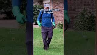 Spot-spraying lawn POV