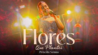 Priscila Senna - Flores Que Plantei Ao Vivo