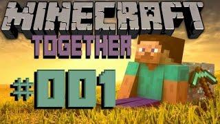 Lets Play Minecraft Together Folge #001 - Viel Spiel Spaß und Freude im Livestream D