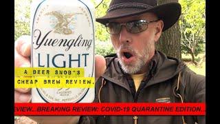 Yuengling Light Beer Review by A Beer Snobs Cheap Brew Review