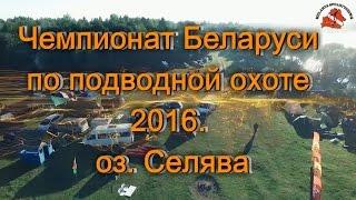 Чемпионат по подводной охоте 2016.  Беларусь.