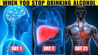 What Happens When You Stop Drinking Alcohol  Stop Drinking Alcohol For 30 Days