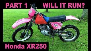 The Pink Bike Project Part 1. Reviving a Long Forgotten Honda Dirt Bike
