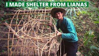 Alone in the wilderness build a survival shelter from lianas jungle infinitychimong