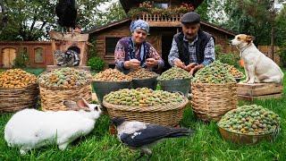 Harvesting and Baking with Fresh Almonds A Village Tradition