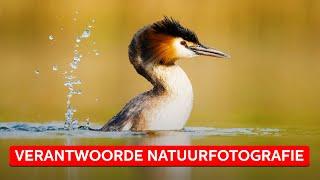 NATUURFOTOGRAFIE zo ga je verantwoord met de natuur om  Natuurfotografie  Zoom.nl