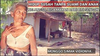 NELONGSOHIDUP SENDIRI DENGAN MENCARI BIJI SENGON BUAT MENYAMBUNG HIDUP