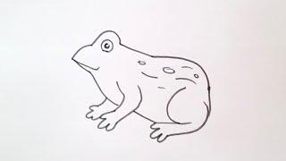 how to draw frog drawing easy step by step@aaravdrawingcreative1112