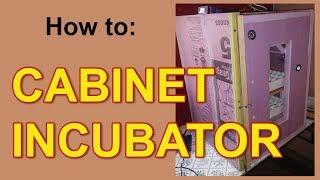 How to Cabinet Incubator - 240 quail egg incubator